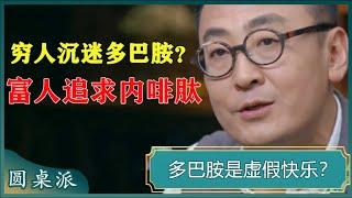 多巴胺是虚假短暂的快乐？多巴胺与内啡肽有怎样的区别？#窦文涛 #梁文道 #马未都