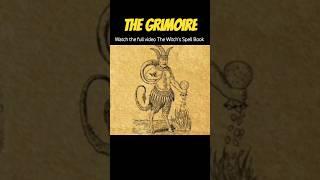 The Witch's Grimoire #witchcraft #witch #magic #grimoire #spellbook #occult