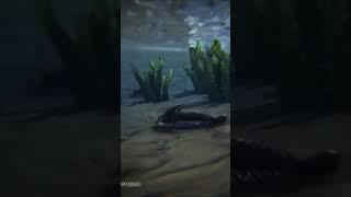 WHAT DID THE SILURIAN FAUNA LOOK LIKE? #earth #scorpions #history