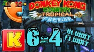 Donkey Kong Country Tropical Freeze 6-4 Blurry Flurry 100% Guide