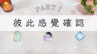 彼此感覺確認Part 1「無時間限制」｜塔羅占卜+占卜小物｜Ora Tarot