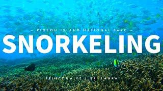 The complete snorkeling experience in Pigeon Island National Park | Sri Lanka