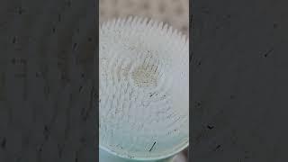 What To Use To Clean RV AC Coils
