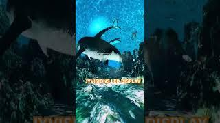 JYVISIONS immersive led tunnel display #led #design #shorts