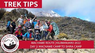 Climbing Kilimanjaro Day 2: Machame Camp to Shira Camp | Trek Tips 2022