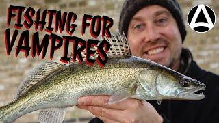 Episode 6. Fishing for Vampires