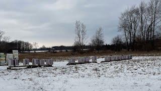 December hive check in Michigan! #beekeeping@willowcreekbees