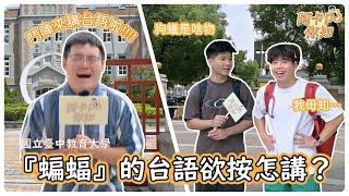 平常時仔敢有需要佮厝內ê人講台語？動物台語報你知夜婆海豬狗蟻｜阿卡Pò你知Ep.1