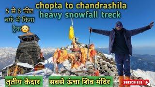 Chopta To Chandrashila heavy snowfall in winter treck  || dharmu pahadi 13 ||dharmendra rana