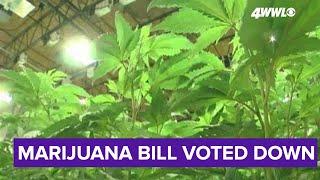 Bill to legalize marijuana in Louisiana dies in the House, author hopeful for next year