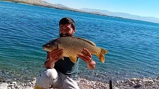 23ekim sazan avım güzel balıklar yakaladık..#fishing #balık #carpfishing #doğa #kamp