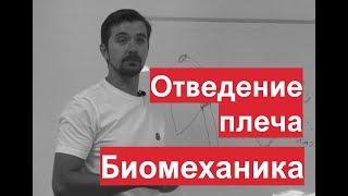 Отведение плеча. Биомеханика. Разбор мышц движения. Александр Пилюгин.