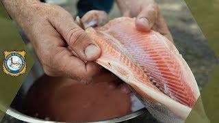 How to Clean Trout - Quick & Easy