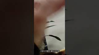 고현수 제정위원장님의  입장(자막있음)화면 최대크기로 보세여
