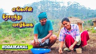 PEACEFULL Village Life in KODAIKANAL  | Tamil Native Farmer'இன் தோட்டத்து வாழ்க்கை | Rural Life