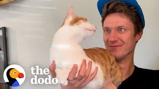 Cat Stops At Nothing To Be Around His Mom's Boyfriend | The Dodo