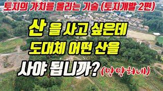 (토지재테크 2편) 임야 산지를 사고 싶은데 어떤 산을 사야 되나요?