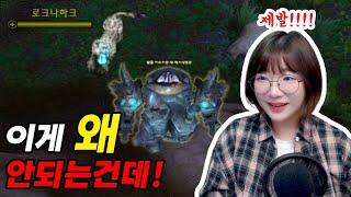 2주동안 매일 기다린 초 희귀펫이 눈 앞에 있는데!!! (와우:내부전쟁,world of warcraft)