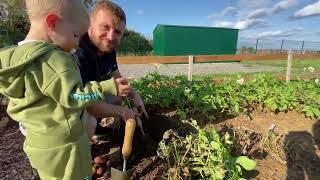 Allotment Diary For Beginners; Disaster With The Potatoes!!! #YouTube #allotment #family