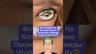 Фотографии На Которые Нужно Посмотреть Дважды Чтобы Понять Их! #shorts #фотография #собака
