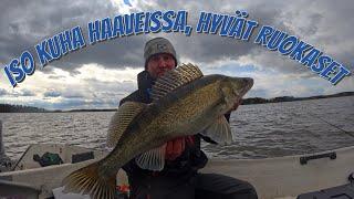 ISO KUHA HAAVEISSA | HYVÄT RUOKASET! #KALASSA 72