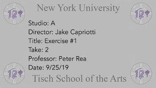 NYU Sight and Sound Studio Exercise 1: The Spectacular Now