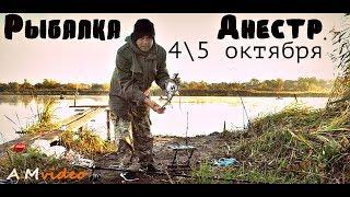 Рыбалка на реке Днестр. 4\5 октября, ушла вода, и рыбы крупной нет, #AM_Video_2018