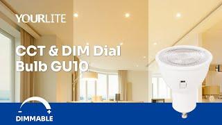 GU10 Light Bulb - DIM & CCT Dial Bulb GU10 | Energy Efficient | High Compatibility | YOURLITE