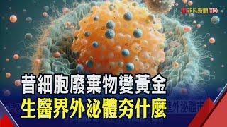 再生醫學新寵 生技業攻外泌體商機將登興櫃  2030產值30億美元 台廠積極搶進外泌體市場｜非凡財經新聞｜20241203