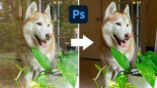 【修圖黑科技】反射移除工具 in Photoshop｜Camera Raw 17.1