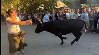 Encierro 100 taureaux ️BEAUCAIRE 26.07.2024 