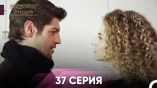 Дворянин Сегодняшнего 37 Серия