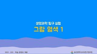 7.  그람 염색 1