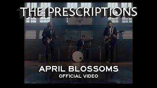 The Prescriptions - "April Blossoms" (OFFICIAL VIDEO)