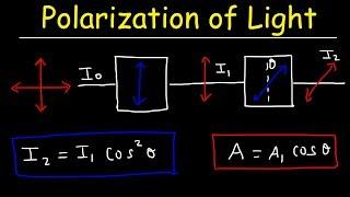 Polarization of light Problems, Malus Law - Intensity & Amplitude - Physics