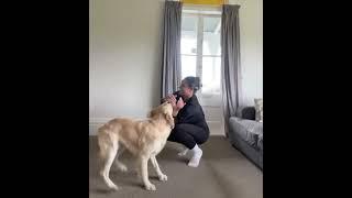 Woman is teaching her dog to jump through her arms!