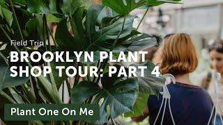 Brooklyn Plant Shop Tour: Tend (4/6) — Ep. 221