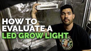 3 Things You MUST Know Before Buying an LED Grow Light 