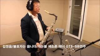 불효자는 웁니다/ 테너 색소폰 캐논볼 GT5-SB