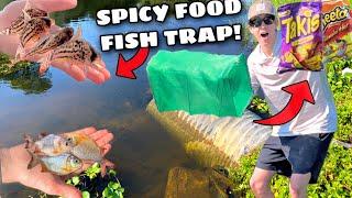 SPICY FOOD FISH TRAP CATCHES EXOTIC AQUARIUM FISH!! (NEW PETS)