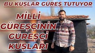 MİLLİ GÜREŞÇİNİN GÜREŞÇİ KUŞLARI - GÖKHAN KIZILAY KÜMES ZİYARETİ