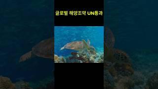 사라지는 푸른 행성, 바다를 지킬 마지막 기회. 글로벌해양조약 UN 통과.