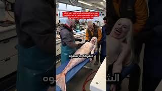 الصيادين أمسكوا بحورية. لكن عندما اكتشفت الشرطة ما فعلوه تم اعتقالهم #قصص #قصص_واقعية #صيد #حورية