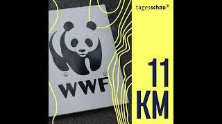 Deutsche Bank-Tochter: Greenwashing mit Panda? | 11KM - der tagesschau-Podcast