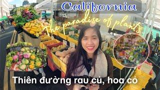 Khám phá chợ nông sản cuối tuần, hoa mắt vì rau củ lạ mắt| Explore the weekend farmers market