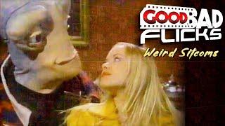 5 Forgotten TV Shows Part 32 - Weird Sitcoms