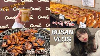 Vlog | 부산 브이로그 | 광안리 맛집&카페 추천🩵 (올선데이 베이글, 초필살돼지구이 껍데기, 센텀 신세계 카멜커피, 다케다야, 일기장)