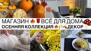 VLOGШОППИНГ️Что КУПИЛА ⁉️DEHNER DEPOT / ЗАКУПКА / ОБЗОР/ УЖИН / БУКЕТ Подсолнухов 