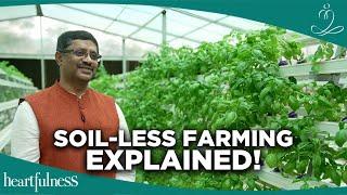 Growing Food Without Soil | Hydroponics | Sustainable Farming