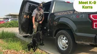 K9 Korra Demonstration - Article Search